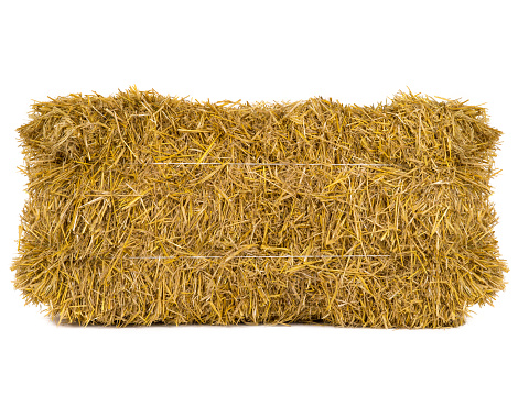 hay isolated on a white background