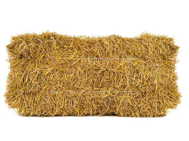 Theres Stock Photo - Download Image Now - Bale, Hay, Cut Out - iStock Theres Stock Photo - Download Image Now - Bale, Hay, Cut Out - iStock