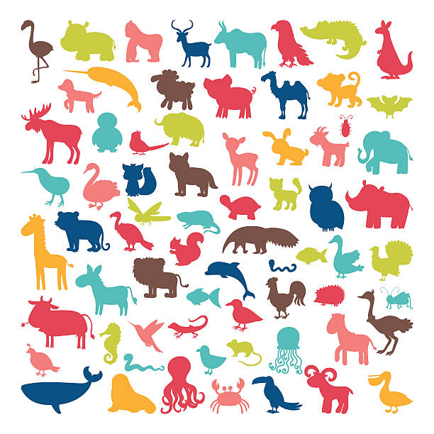 만화 스타일의 동물 실루엣의 큰 세트. 야생 생활 - safari animals wild animals animals and pets reptile stock illustrations