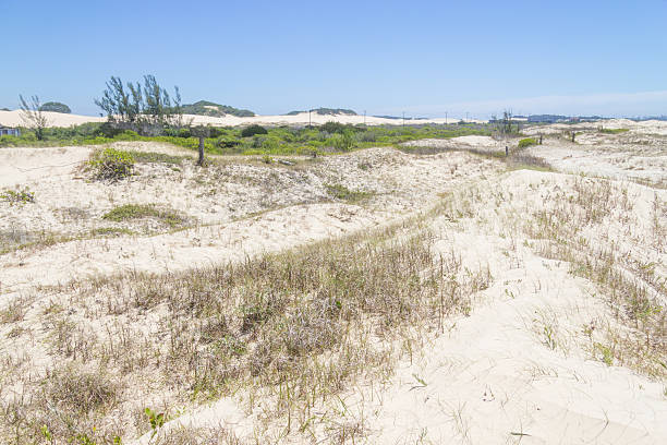 istock Vegetation over dunes  at Torres beach 627675640
