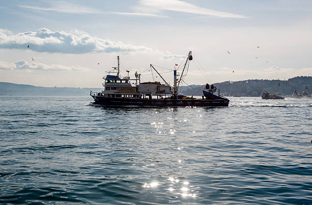 barco pesquero turco pescando en el bósforo - estambul - turkish culture turkey fishing boat fishing fotografías e imágenes de stock