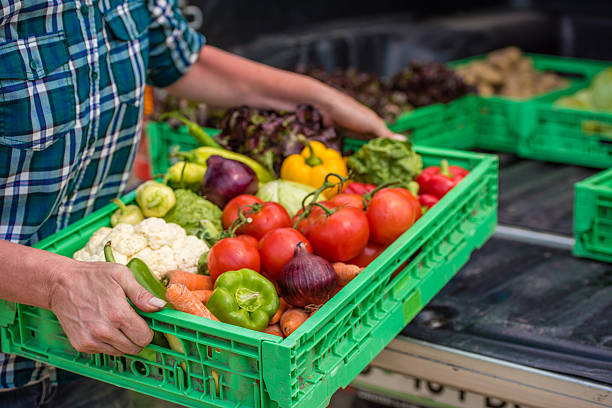 istock Woman holding container of vegetables 627682836