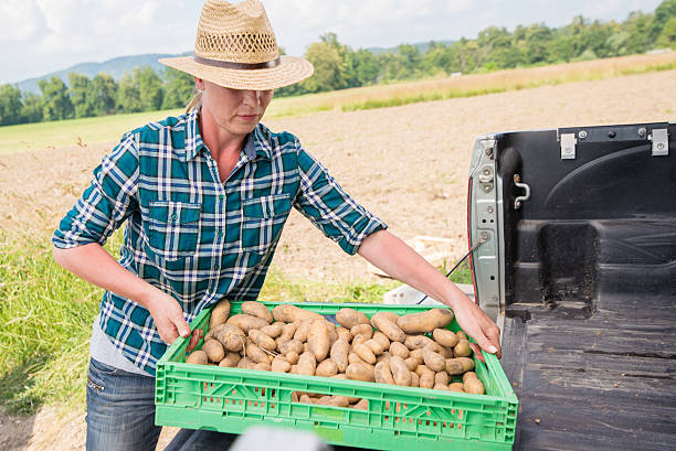 Mature woman holding container of fresh potatoes outside truck.