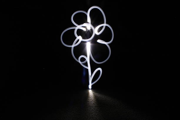 istock Classic flower composed with light painting. 627718758