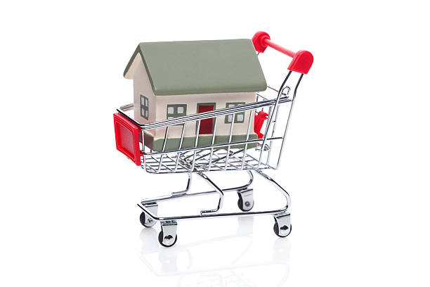 istock House in shopping cart 627721480