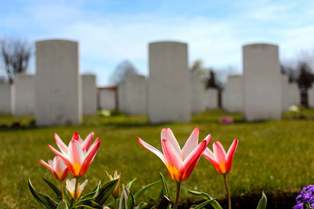 istock Spring Flowers growing at a Military Cemetery 627723680