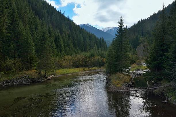 mountain lake - schreckhorn stock-fotos und bilder