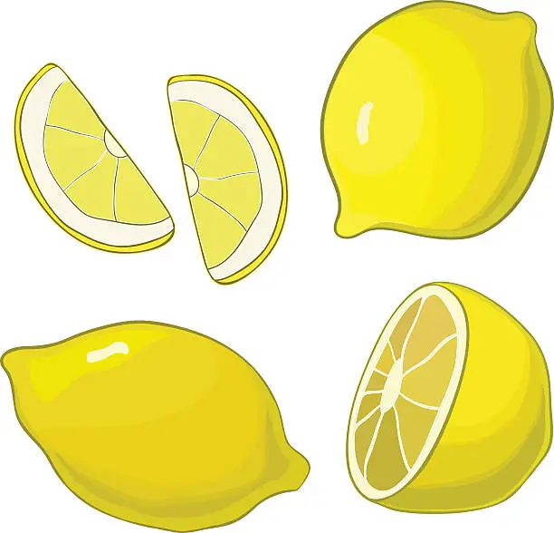 Vector illustration of Lemons, four views. Fresh, natural: whole, half, slice, wedge.