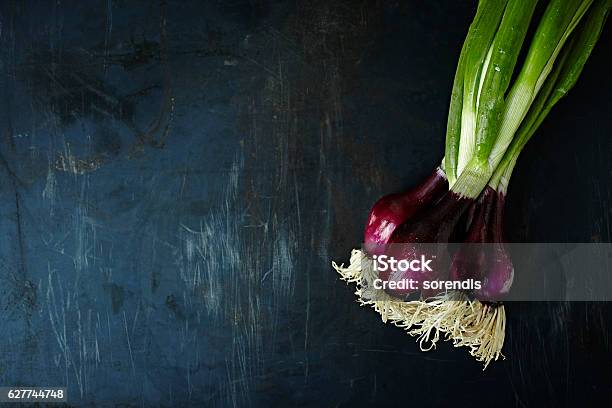 Fresh Onions Stock Photo - Download Image Now - Color Image, Crop - Plant, Dark