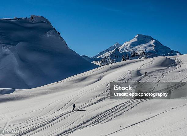 Photo libre de droit de Les Skieurs De Fond banque d'images et plus d'images libres de droit de Mont Baker - Mont Baker, Ski, Bien-être