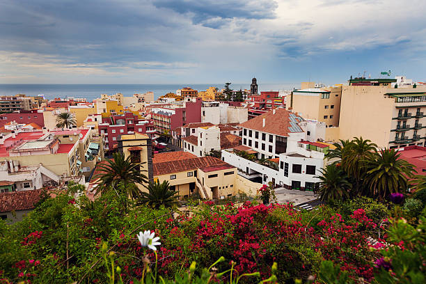 istock Panorama of Puerto de la Cruz 627748134