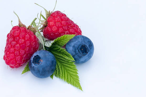 istock close-up of berries on a white background 627749062