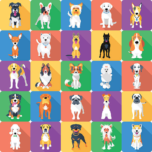 이음새 없는 패턴, 멍멍이 평편 디자인식 - purebred dog illustrations stock illustrations