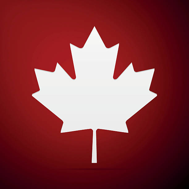 kanadyjska ikona liścia klonu na czerwonym tle. ilustracja wektorowa - flag canadian flag patriotism national flag stock illustrations