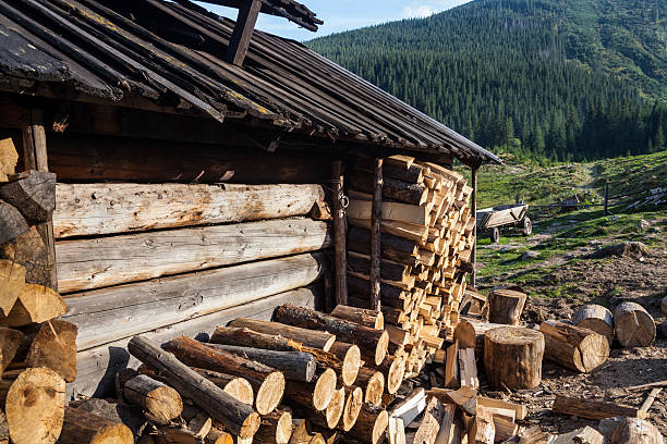 старый сарай в украинских карпатах - shed cottage hut barn стоковые фото и изображения