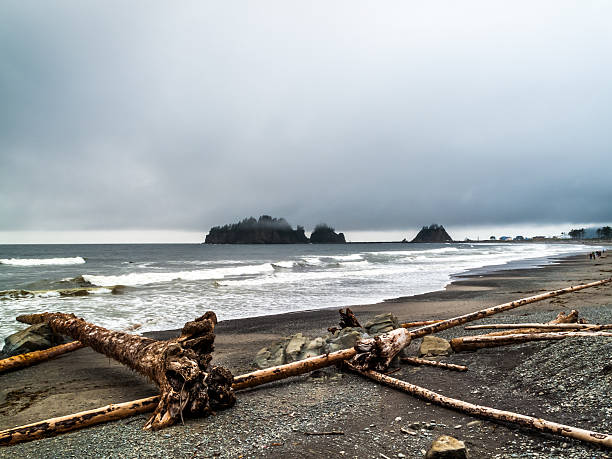 istock walking people on the beach of La Push 627771006