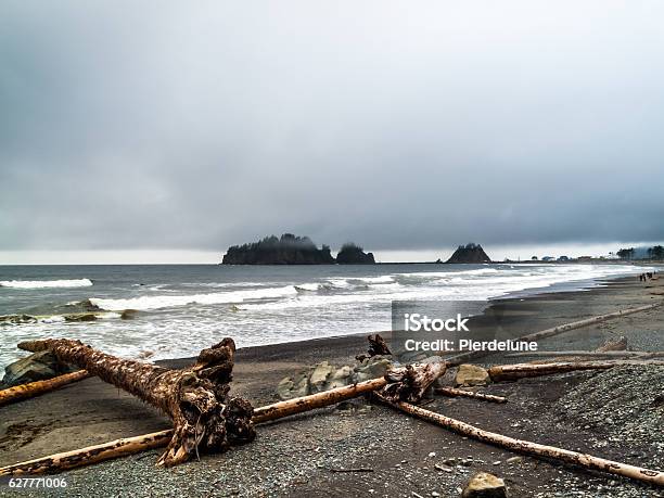 Walking People On The Beach Of La Push Stock Photo - Download Image Now - Beach, Cloud - Sky, Coastline