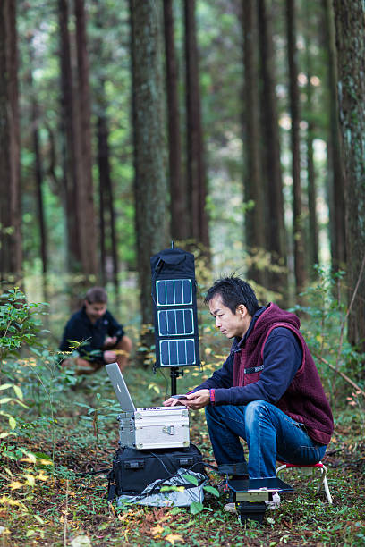 istock Two researchers working in forest at solar powered field station 627771628