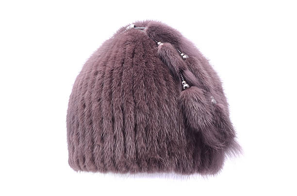 istock women's fur hat isolated on white 627776854