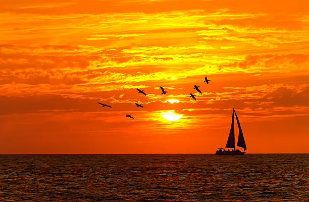 istock Ocean Sunset Sailboat Birds 627779966