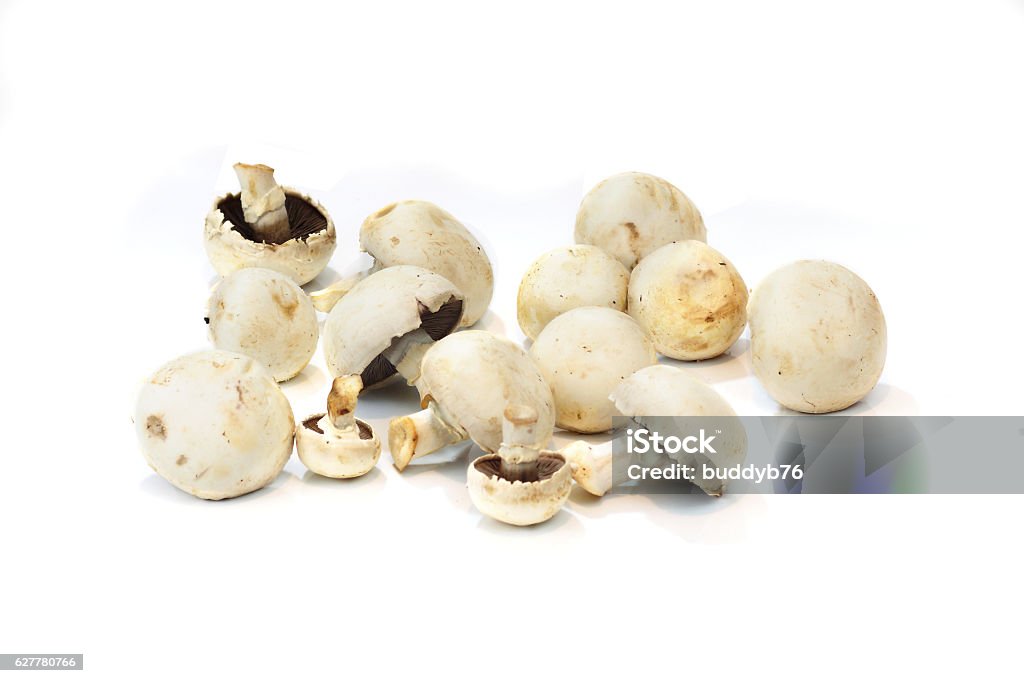 Weiße Pilze auf Weißer Hintergrund - Lizenzfrei Backen Stock-Foto