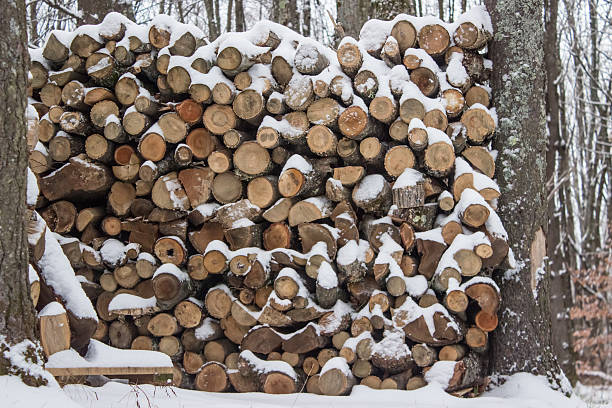 istock Stack of Wood in Snow 627782038
