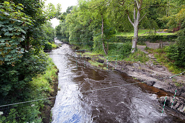 River Teifi at Llandysul where the paddlers go Looking downstream at the kayaking poles on the River Teifi in Llandysul, Ceredigion teifi river stock pictures, royalty-free photos & images