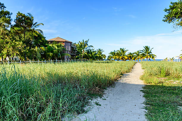 sentiero che porta alla spiaggia caraibica - house wood dirt road footpath foto e immagini stock