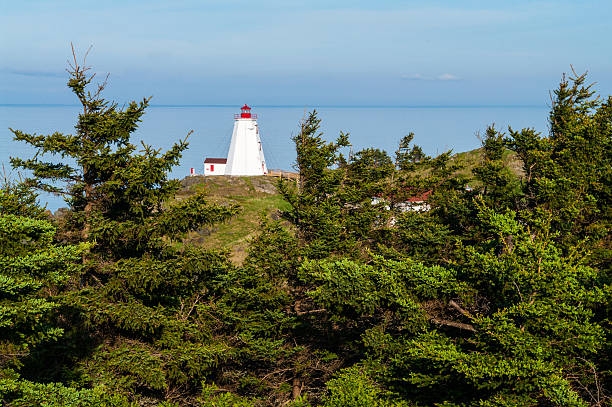 farol através das árvores - grand manan island - fotografias e filmes do acervo