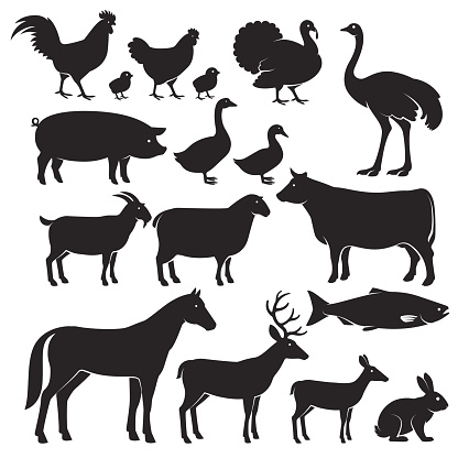 Farm animals silhouette icons.