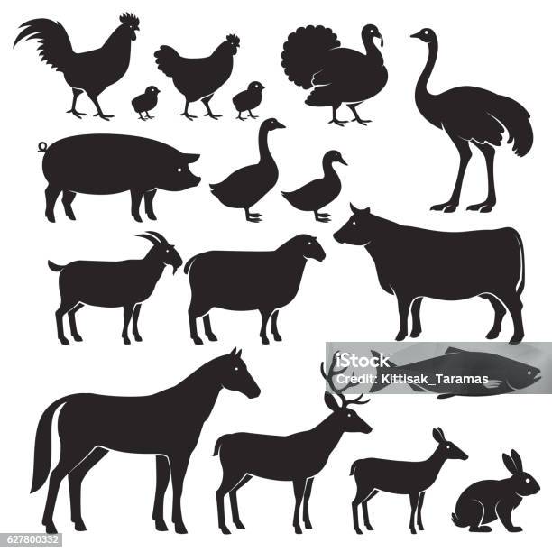 Farm Animals Silhouette Icons Stock Illustration - Download Image Now - In Silhouette, Chicken - Bird, Fish