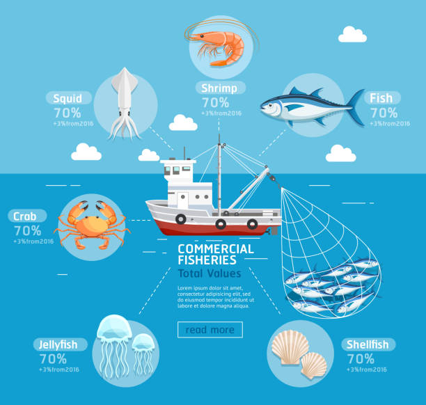 illustrazioni stock, clip art, cartoni animati e icone di tendenza di infografica del piano industriale di pesca commerciale. - industrial fishing