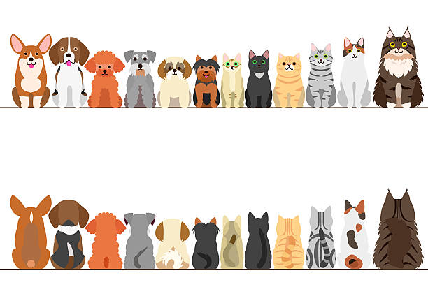 stockillustraties, clipart, cartoons en iconen met cats and small dogs border set, front view and rear view - cat and dog