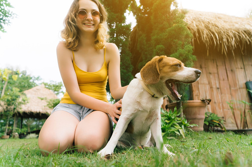 Young Caucasian woman playing with beagle  dog in the garden 