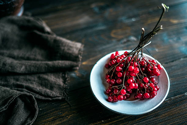 Viburnum berries in plate stock photo