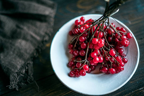 Viburnum berries in plate stock photo