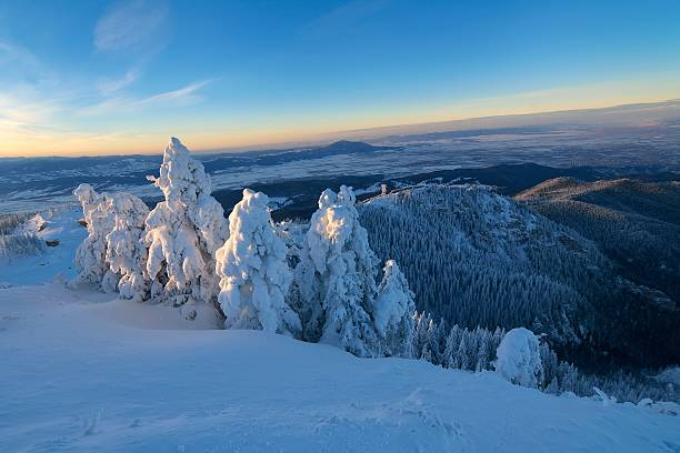istock Winter landscape with fir trees forest covered by heavy snow 627814664