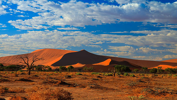 istock Deep shadows on Sossusvlei dunes at sunrise Namib desert Namibia 627815596
