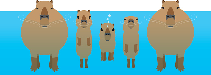Капибары Cute easy drawings, Cute doodles, Mini drawings