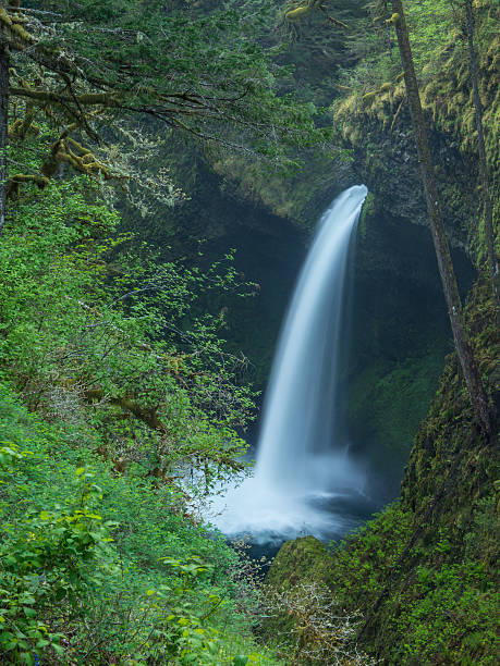 istock Metlako falls Columbia River Gorge 627817272