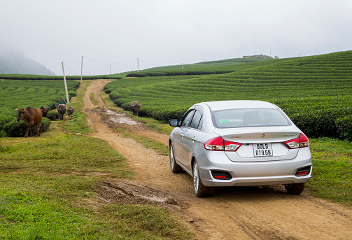 Hoabinh, Vietnam - Nov 15, 2016: Suzuki Ciaz sedan car is running on the mountain road in test drive in Vietnam.