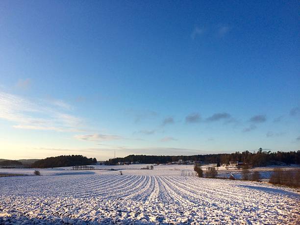 Snowy winter landscape cold rural nature scenics