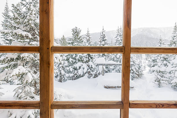 istock snowy forest trees in the snow outside the window 627838412