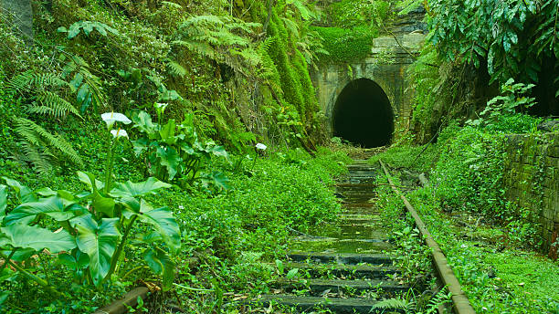 istock Leafy Green Lush Disused Railway Tunnel 627838648
