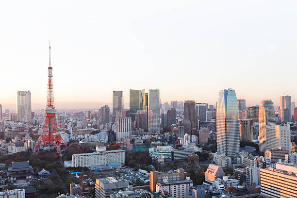 istock Tokyo Skyline at Dusk 627839278