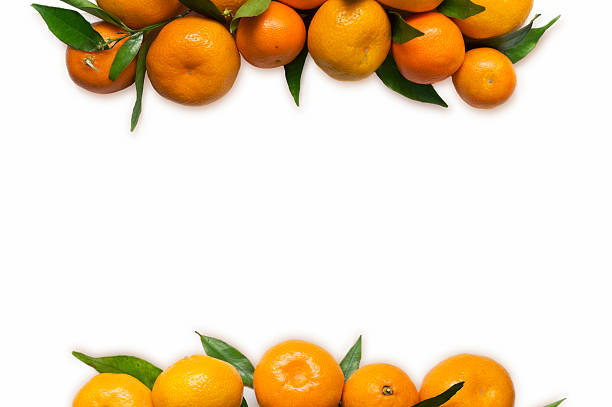 istock Tangerines close-up on a white background. 627853900