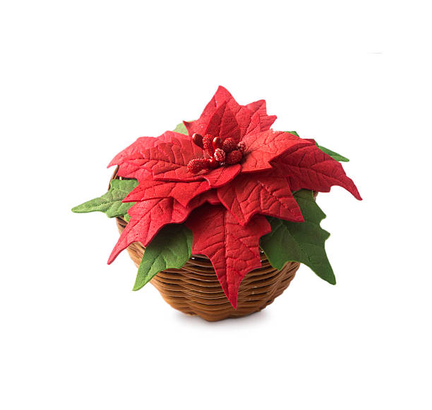 istock Poinsettia in a basket 627854962