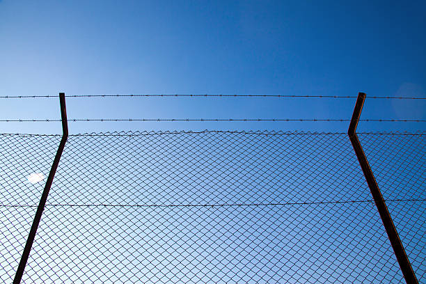 istock Wire fence with barbed wires 627864536