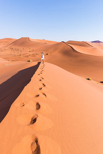 istock Photographing the sand dunes, Namibia, Africa 627870696