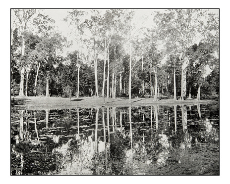 Antique photograph of Lagoon on the Clarence River